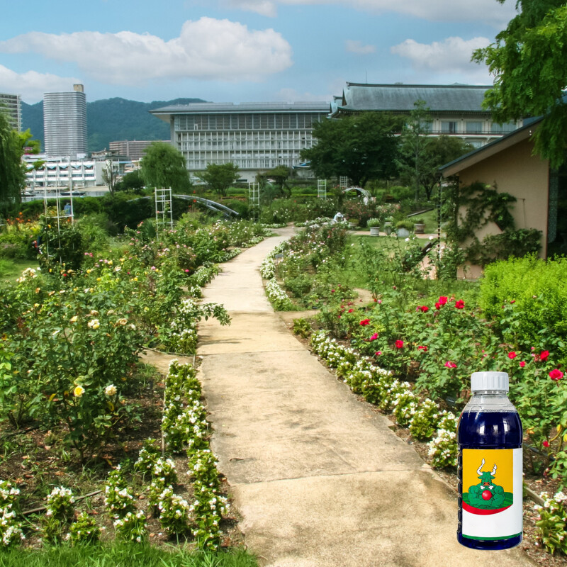 Destroy Stubborn Weeds Within 24 Hours