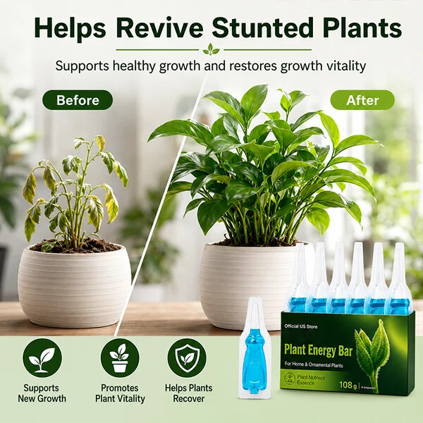 Official US Store  Tryzenviax® Plant Energy Bar